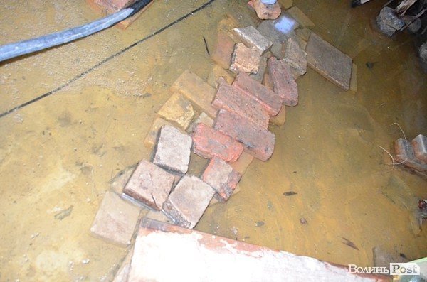 У підвалі будинку в центрі Луцька 20 років стоїть вода. ФОТО