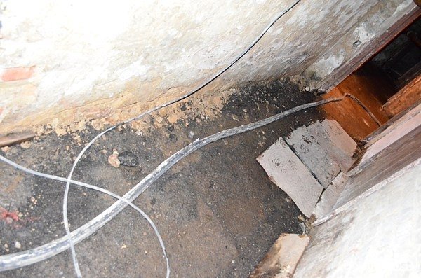 У підвалі будинку в центрі Луцька 20 років стоїть вода. ФОТО