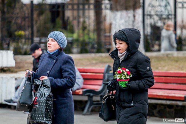 За день до свята: Луцьк накрила тюльпанова лихоманка. ФОТО