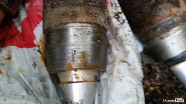 Шукали гриби – знайшли боєприпаси. ФОТО арсеналу у лісі