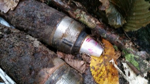 Шукали гриби – знайшли боєприпаси. ФОТО арсеналу у лісі