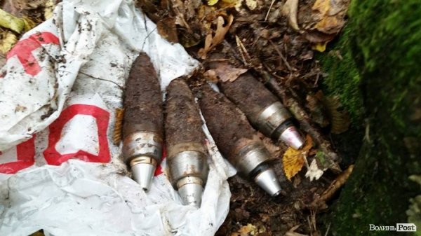 Шукали гриби – знайшли боєприпаси. ФОТО арсеналу у лісі
