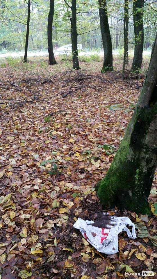 Шукали гриби – знайшли боєприпаси. ФОТО арсеналу у лісі