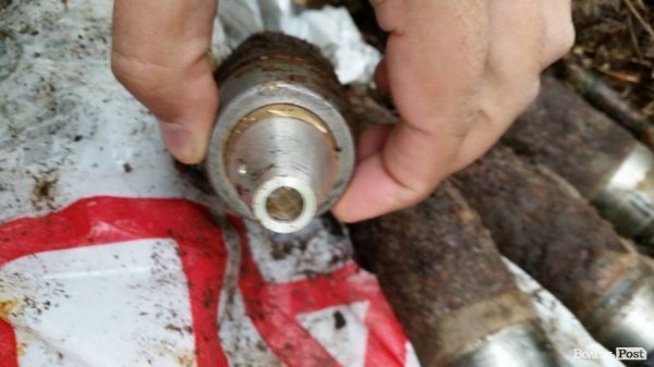 Шукали гриби – знайшли боєприпаси. ФОТО арсеналу у лісі