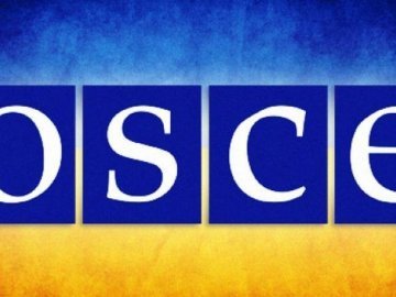 В ОБСЄ висловилися щодо катастрофи на Донбасі