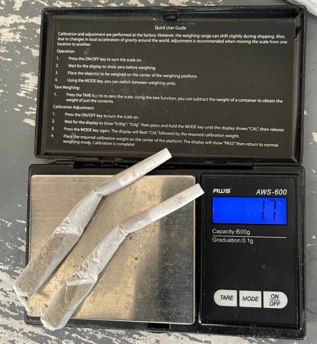 У «Ягодині» службовий пес «винюхав» в італійця наркотичну речовину