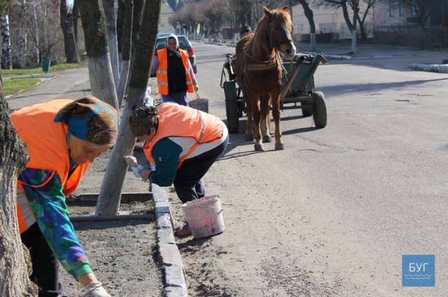 У селищі на Волині не хочуть відмовлятися від побілки дерев