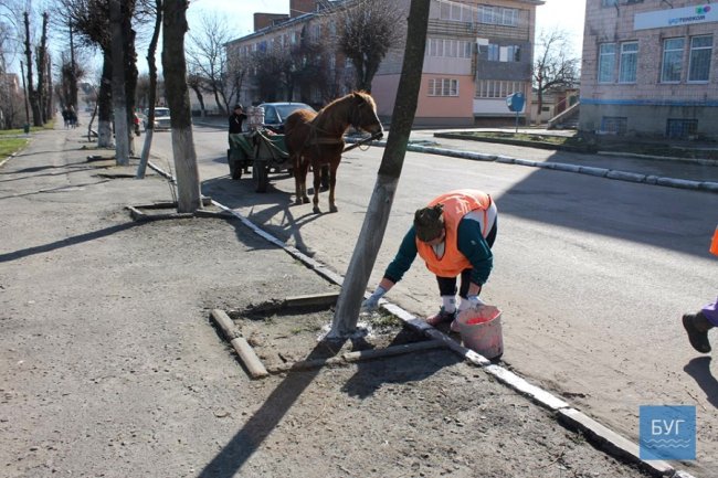 У селищі на Волині не хочуть відмовлятися від побілки дерев