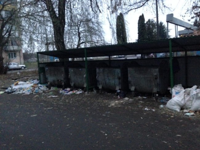 «Свинство вже в крові»: у Луцьку скаржаться на гори сміття біля контейнерів. ФОТО