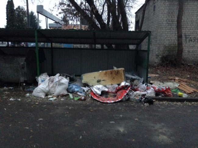 «Свинство вже в крові»: у Луцьку скаржаться на гори сміття біля контейнерів. ФОТО