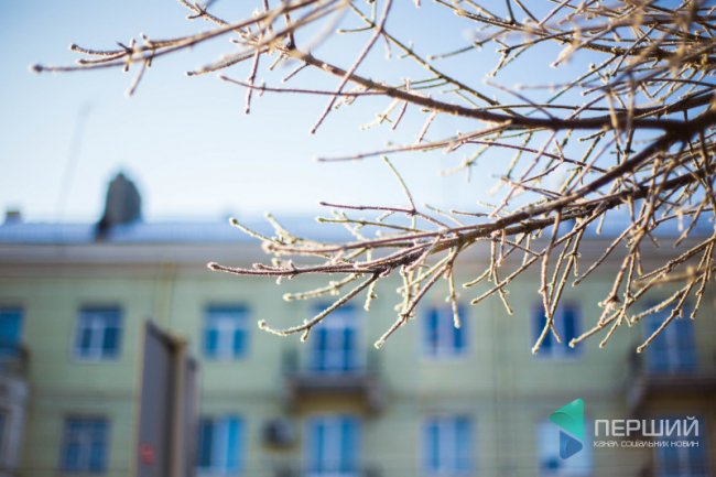 Мерехтливий сніг і кришталевий іній: Луцьк опинився у морозному полоні. ФОТО