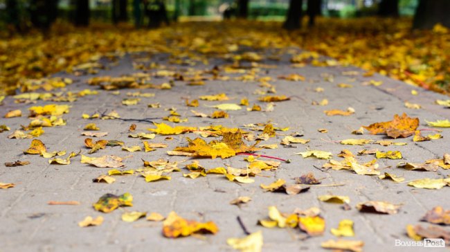 Місто, оповите легким серпанком туману: осінній Луцьк у фото 