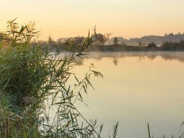 Підприємцю, який не захотів повернути ставок громаді під Луцьком, «світить» до 3 років тюрми