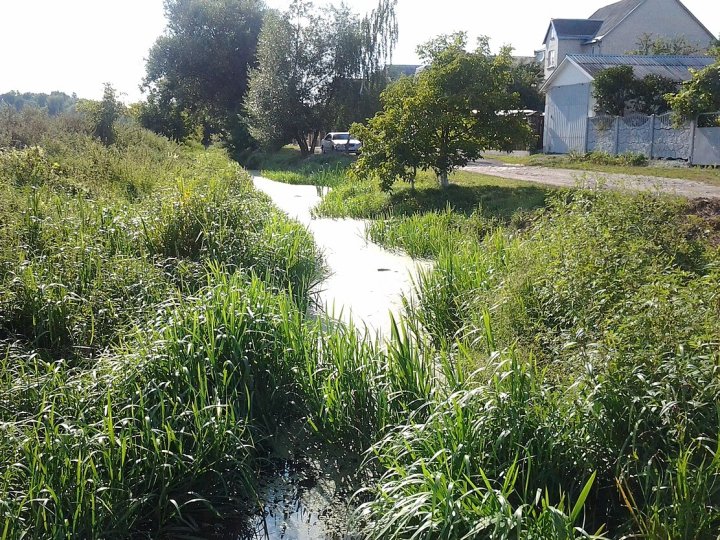 Проєкт з розчищення русла річки Омелянівка: стало відомо, коли буде готовим