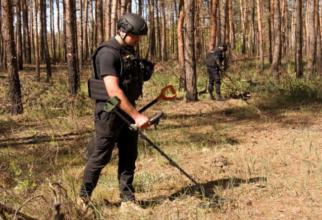 З’явилися фото, як волинські сапери розміновують Донеччину