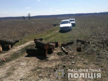 У Луцькому районі «на гарячому» спіймали молодика, який крав ліс. ФОТО