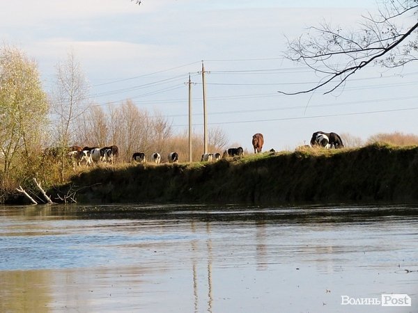 Водна експедиція: як виглядає Луцьк зі Стиру. ФОТО