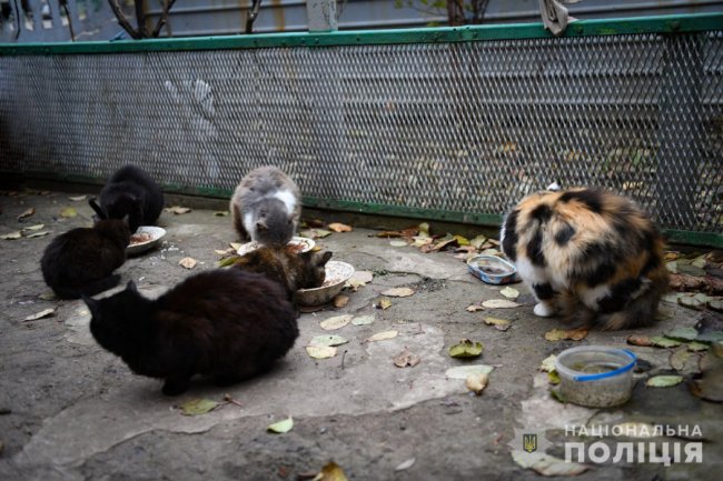 Поліція рятує домашніх тварин у вщент зруйнованому Оріхові