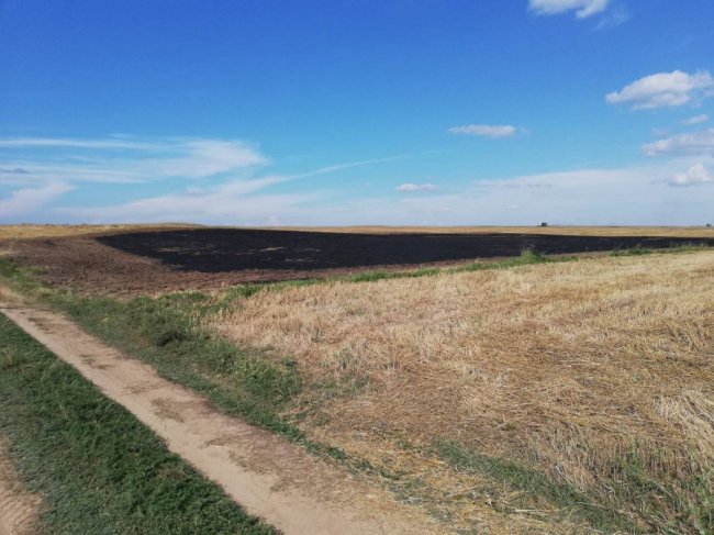 На Волині горіла стерня. ФОТО