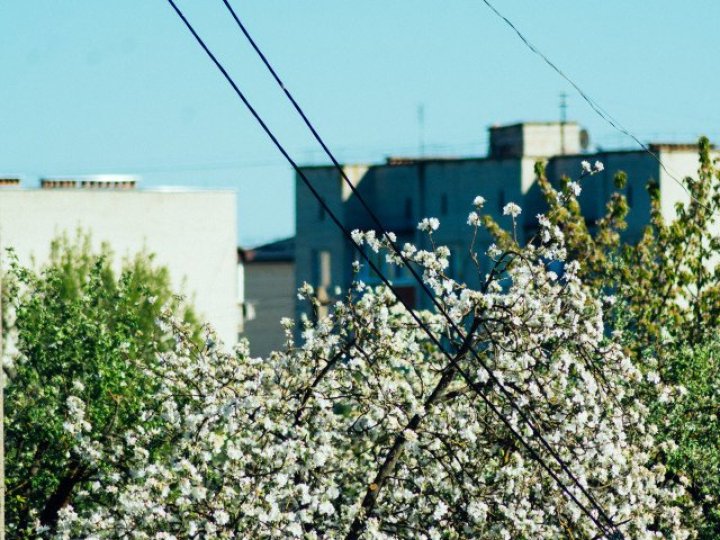 «З якого ти району Луцька?»: містян запрошують на серію публічних розмов