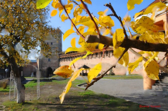 «Останнє золото Любарта»: фотограф показав красу Луцького замку