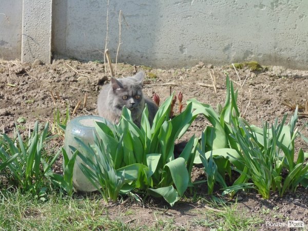 Гузь показав свій «маєток». ФОТО. ВІДЕО
