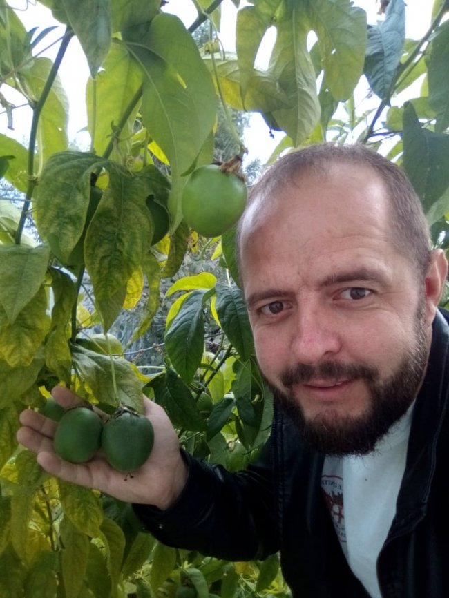 Садівник з Волині вирощує виноград, фісташки і пасифлору 