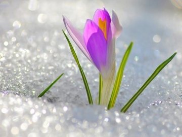 Погода в Луцьку та Волинській області на завтра, 16 березня