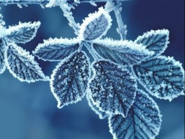 До кінця тижня в Україні будуть морози, – синоптики