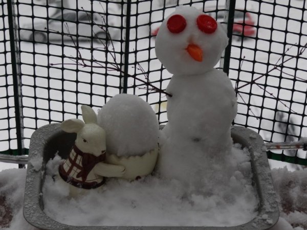 Польщу замело снігом. ФОТО. ВІДЕО