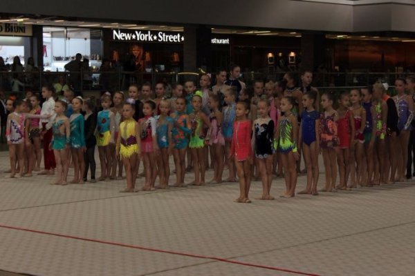 У Луцьку відбувся Кубок міста з художньої гімнастики. ФОТО