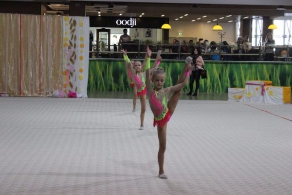 У Луцьку відбувся Кубок міста з художньої гімнастики. ФОТО