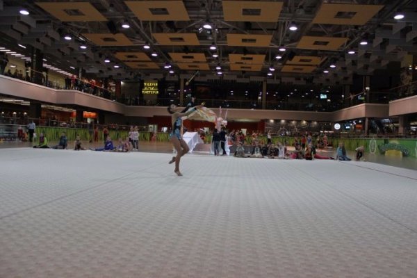 У Луцьку відбувся Кубок міста з художньої гімнастики. ФОТО