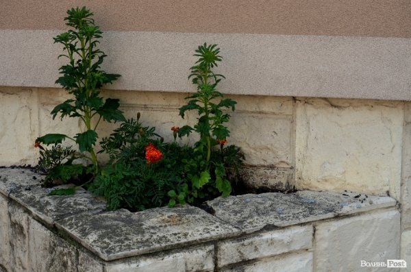 Фотопогляд: старий Луцьк 