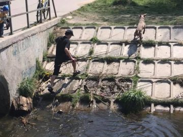 «Люди, схаменіться!»: у Луцьку чоловік власноруч розчищав Сапалаївку від купи сміття. ФОТО