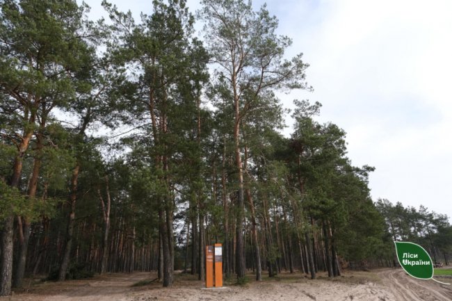 Патрулювання на мотоциклі та контроль роботи колег-чоловіків: історія дівчини-лісівника з Волині