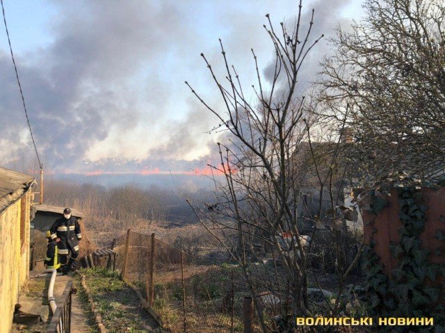 У Луцьку горить заказник «Гнідавське болото». ФОТО. ВІДЕО