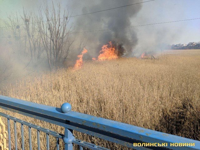 У Луцьку горить заказник «Гнідавське болото». ФОТО. ВІДЕО