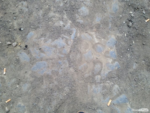 Мер Луцька доручив зберегти старе польське мощення на вулиці Крилова. ФОТО