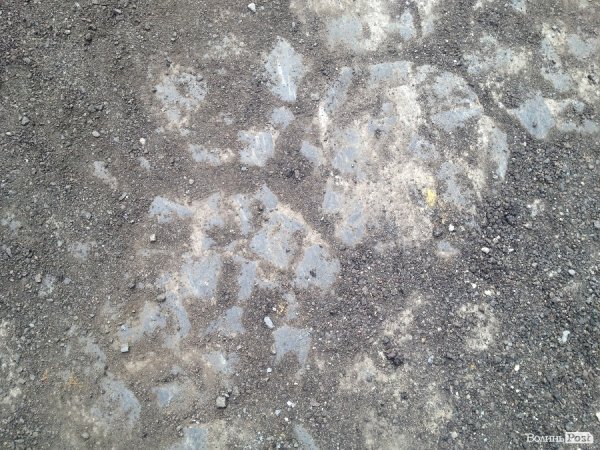 Мер Луцька доручив зберегти старе польське мощення на вулиці Крилова. ФОТО