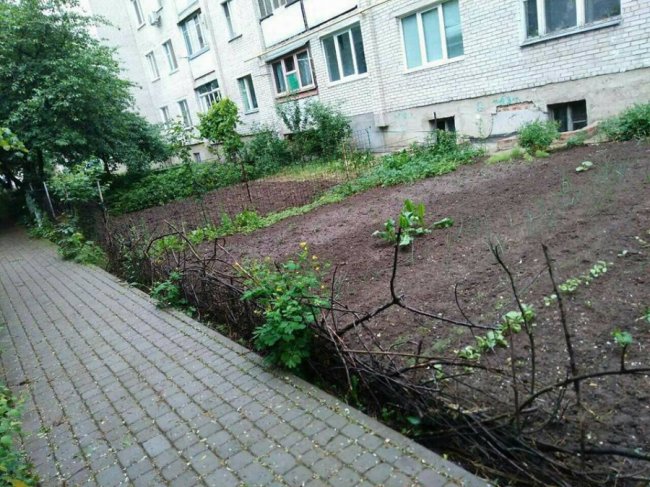 Муніципали забрали обмежувачі руху з двору у Луцьку. ФОТО