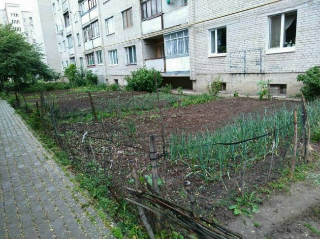 Муніципали забрали обмежувачі руху з двору у Луцьку. ФОТО