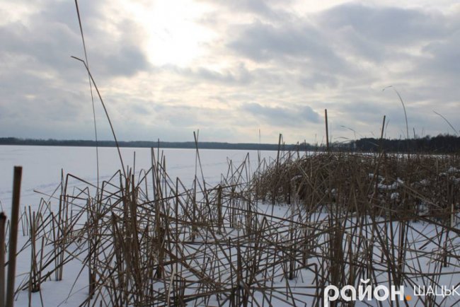 Показали зимовий вечір на Шацькому поозер'ї. ФОТО
