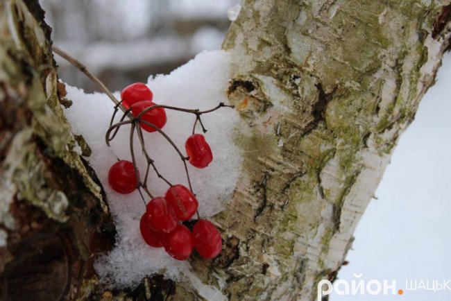 Показали зимовий вечір на Шацькому поозер'ї. ФОТО
