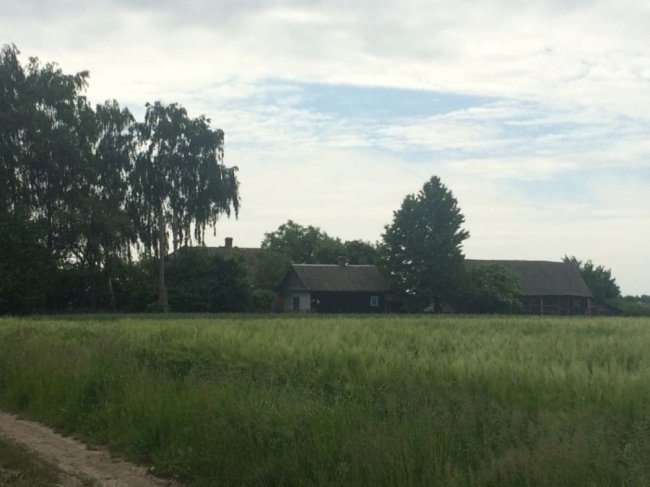 Колись людне село на Волині перетворилось на хутір, де проживає лише дві людини. ФОТО