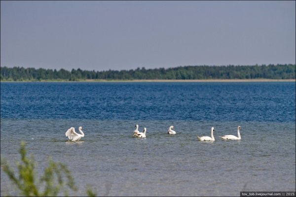 Світязь очима жителя столиці. ФОТО