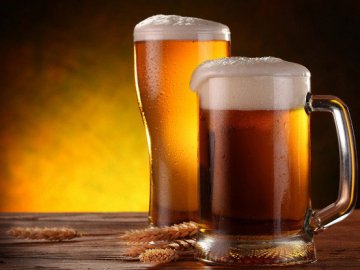 Домашня пивоварня Braumeister від офіційного постачальника «Prolitech»*