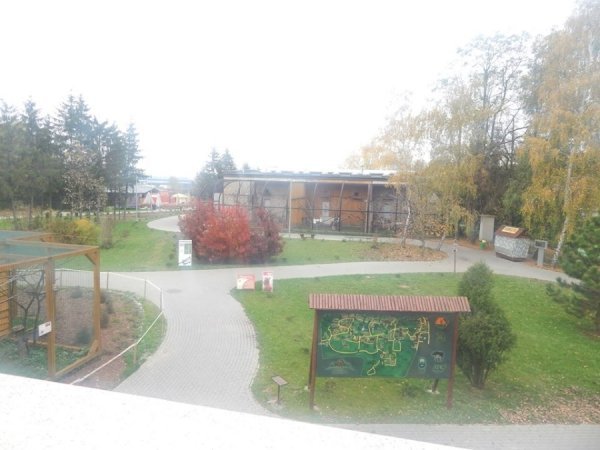 Зоопарк в Замості: погляд з Луцька. ФОТО