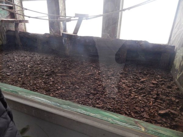 Зоопарк в Замості: погляд з Луцька. ФОТО