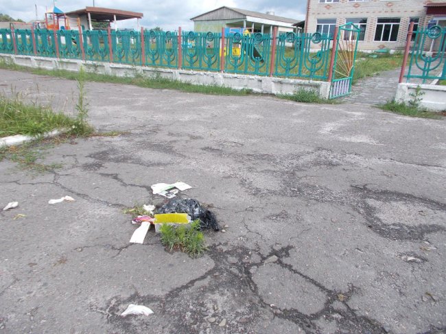 «Майте стид і совість»: на дитячому майданчику випасають коней і розпивають спиртне